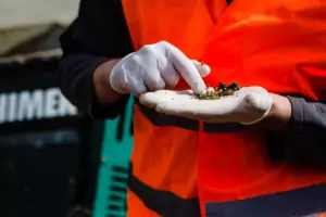 RISQUES ENVIRONNEMENTAUX ET RECONVERSION DES FRICHES : RESTITUTION DE PROJET