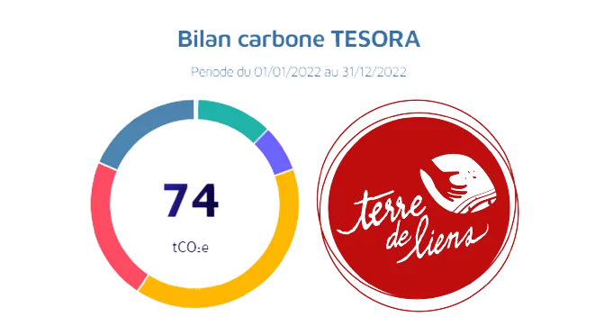 carbone-removebg-preview